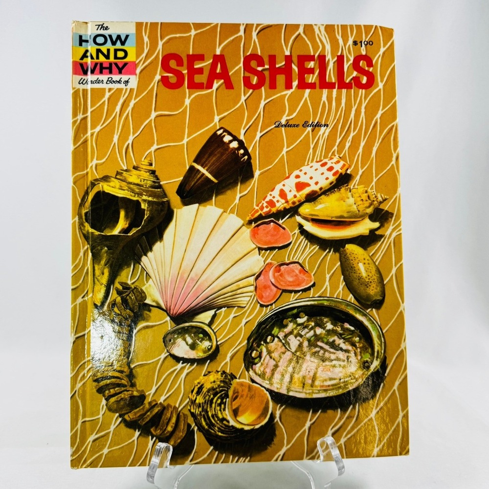 Vintage 1961 The How and Why Wonder Book of Sea Shells Deluxe Edition Nautical